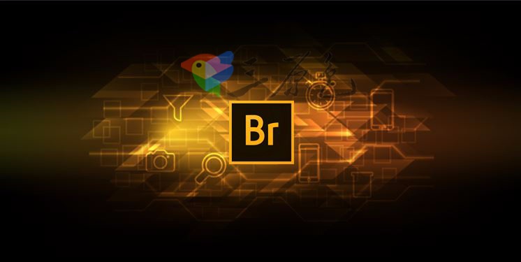 文件管理adobe bridge cc 2018 v8.1 for win 中文版一键安装