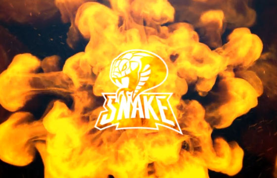 AE模板 魔术火焰蛇LOGO动画标志 Magic Snake Logo Intro